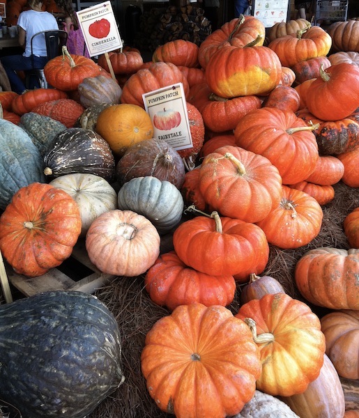 Pumpkins at farmer's market Ageless Gourmet