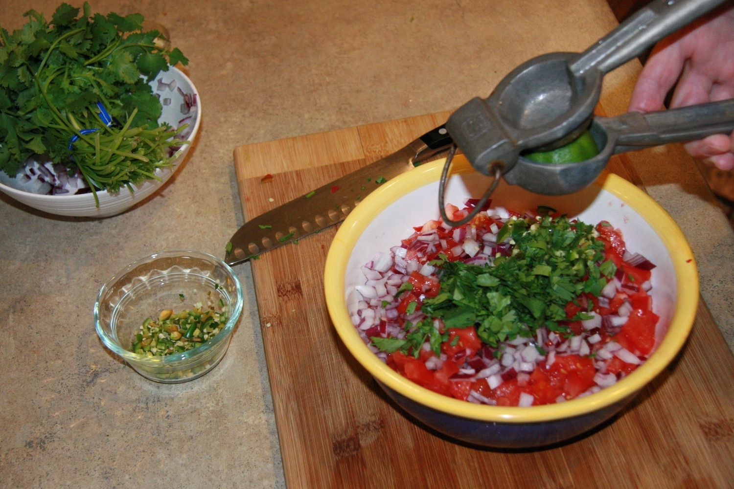 Pico de Gallo Ageless Gourmet