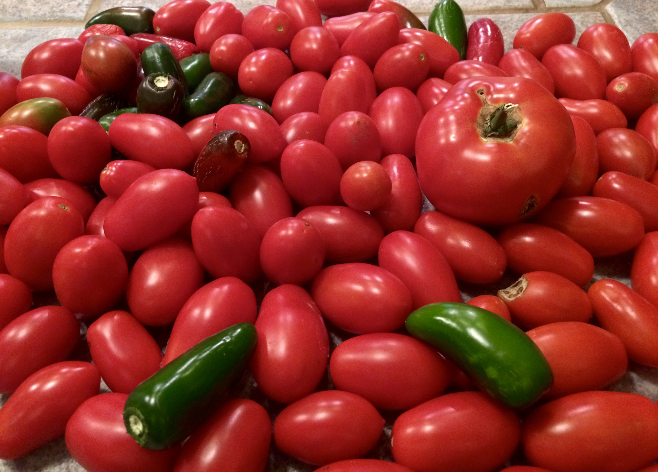 Fall tomatoes and jalapeños from the garden Ageless Gourmet