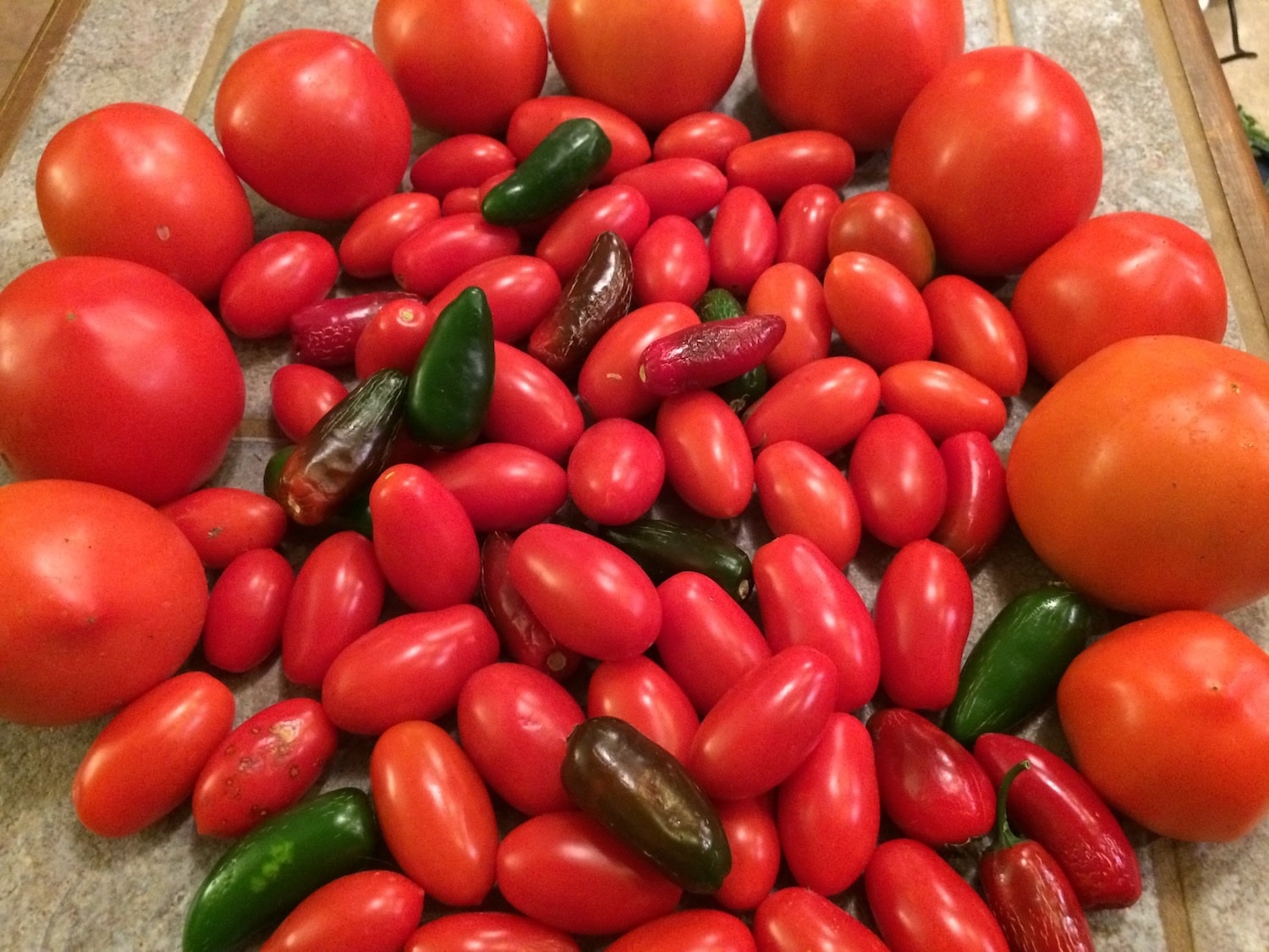 Fall tomatoes from the garden Ageless Gourmet