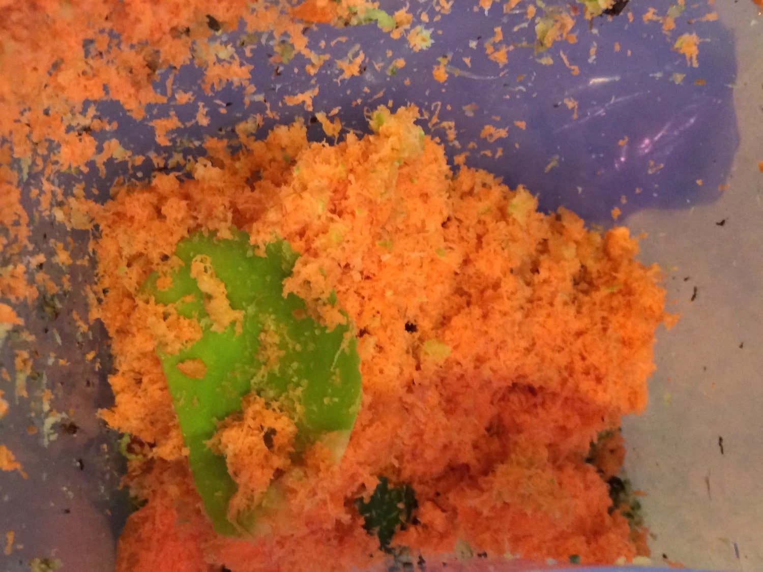 Vegetable pulp from juicing Ageless Gourmet